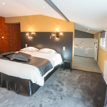 Otel Chateau De La Barbiniere 4*
