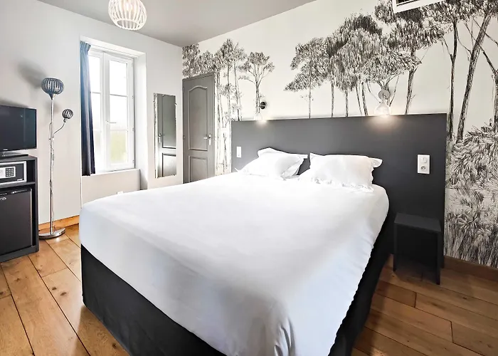 Hotel Château De La Barbinière