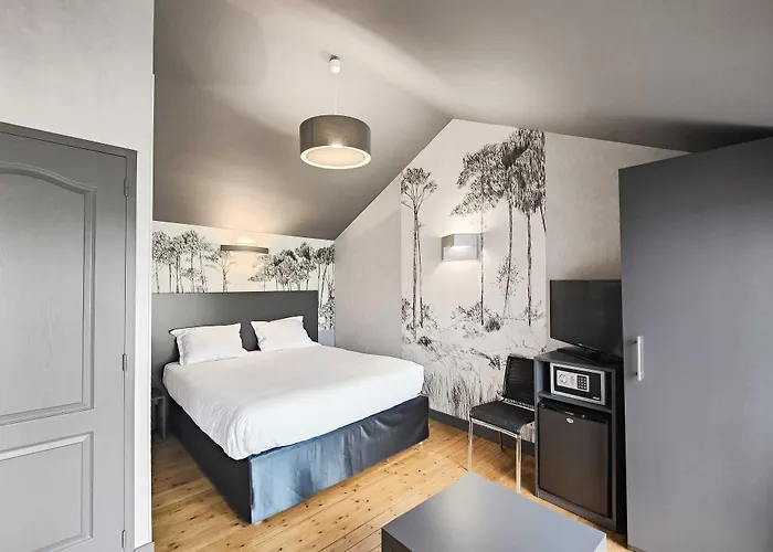 Chateau De La Barbiniere 塞夫勒河畔圣洛朗