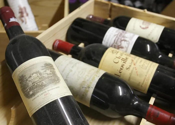 Château De La Barbinière Saint-Laurent-sur-Sèvre