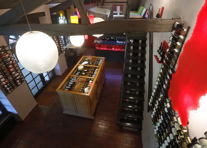 Chateau De La Barbiniere 塞夫勒河畔圣洛朗